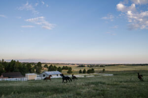 Wild Awake Ranch
